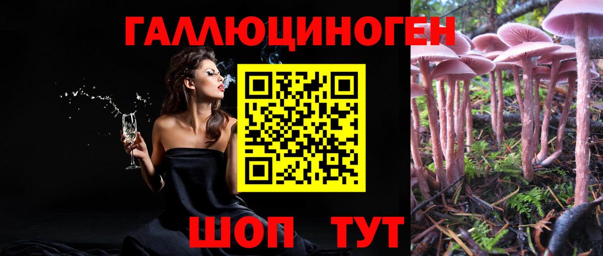 Псилоцибиновые грибы Magic Shrooms  Вход с VPN  Асбест 